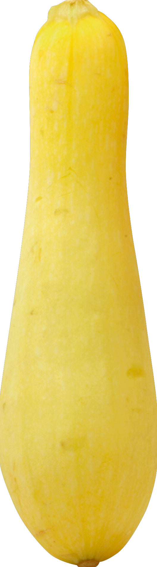 Yellow Crookneck Squash