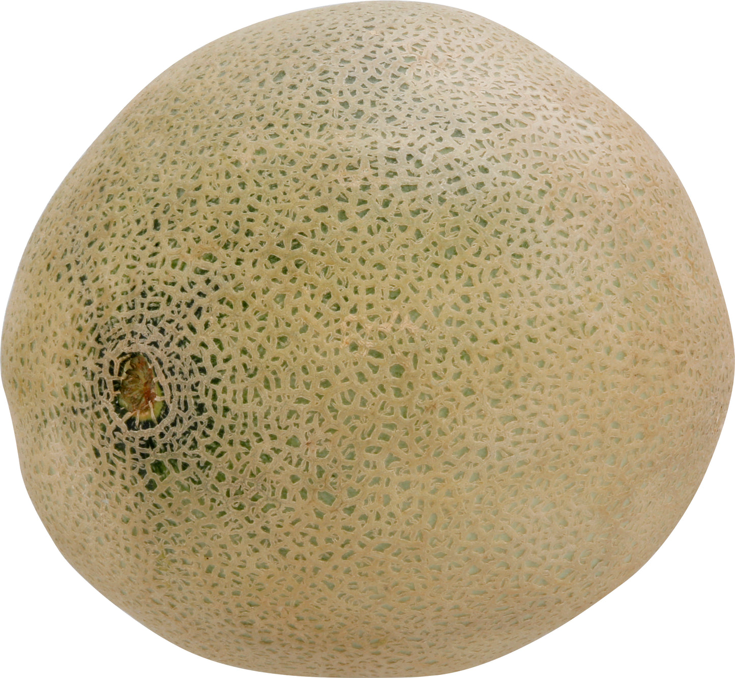Cantaloupe - Large