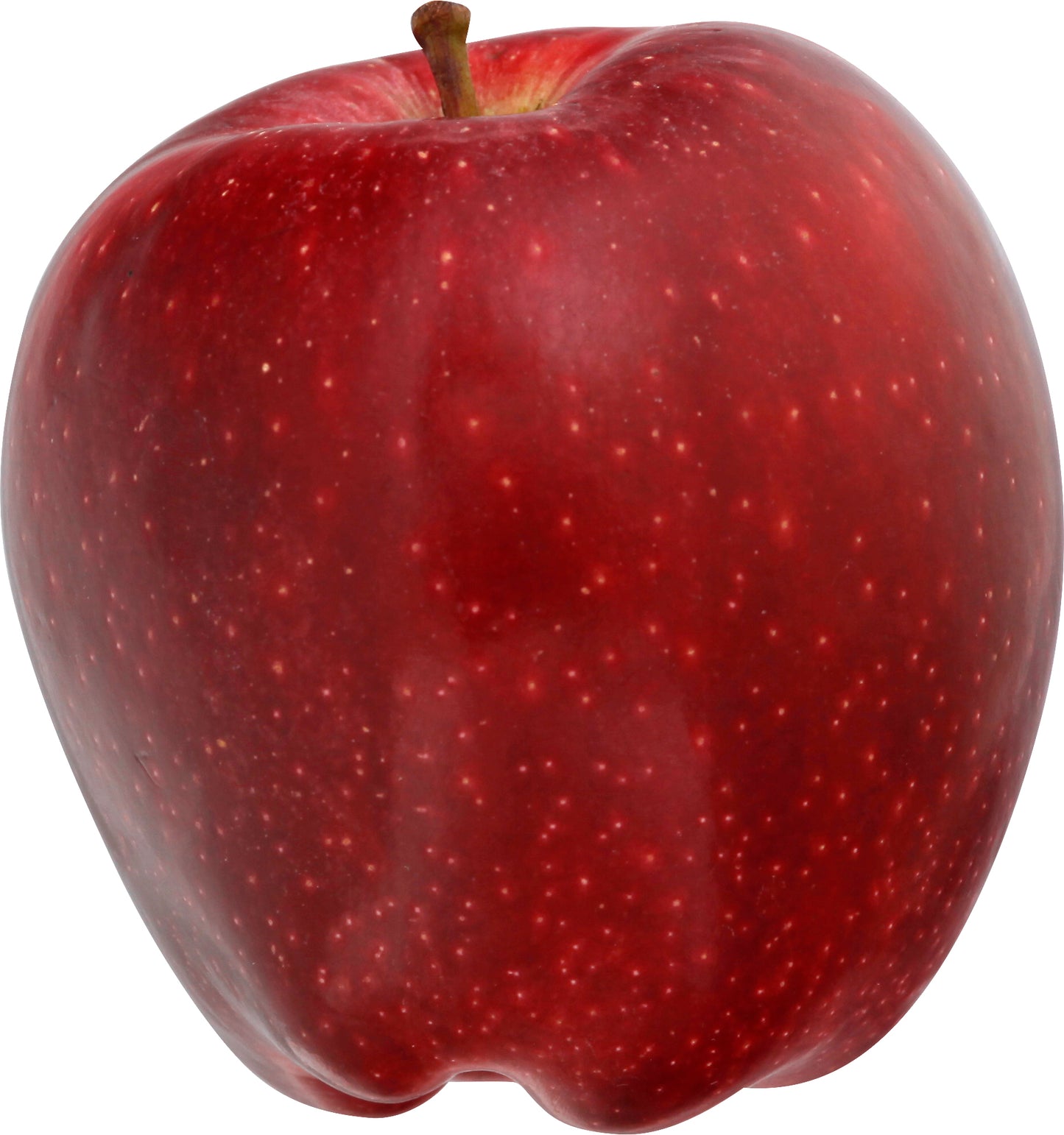 Red Delicious Apple - Large