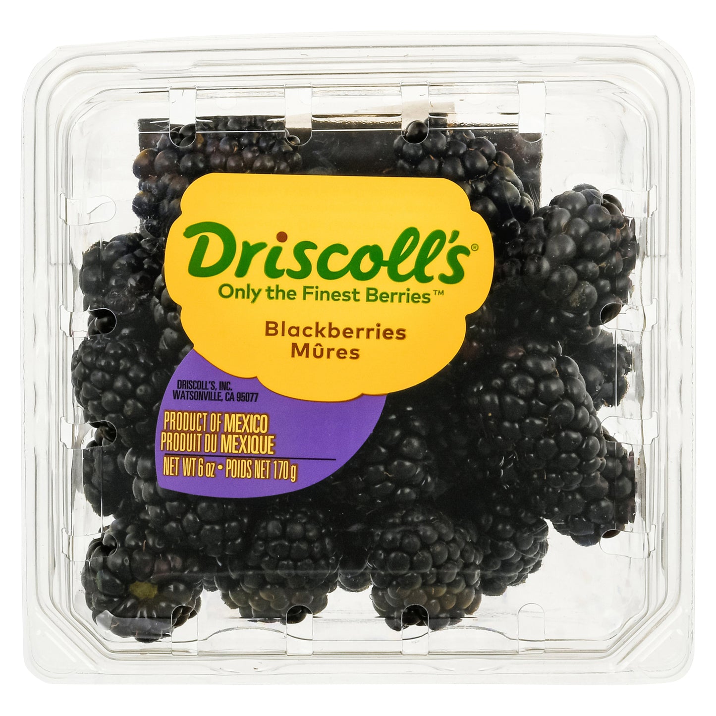 Driscoll's Blackberries 6 ea