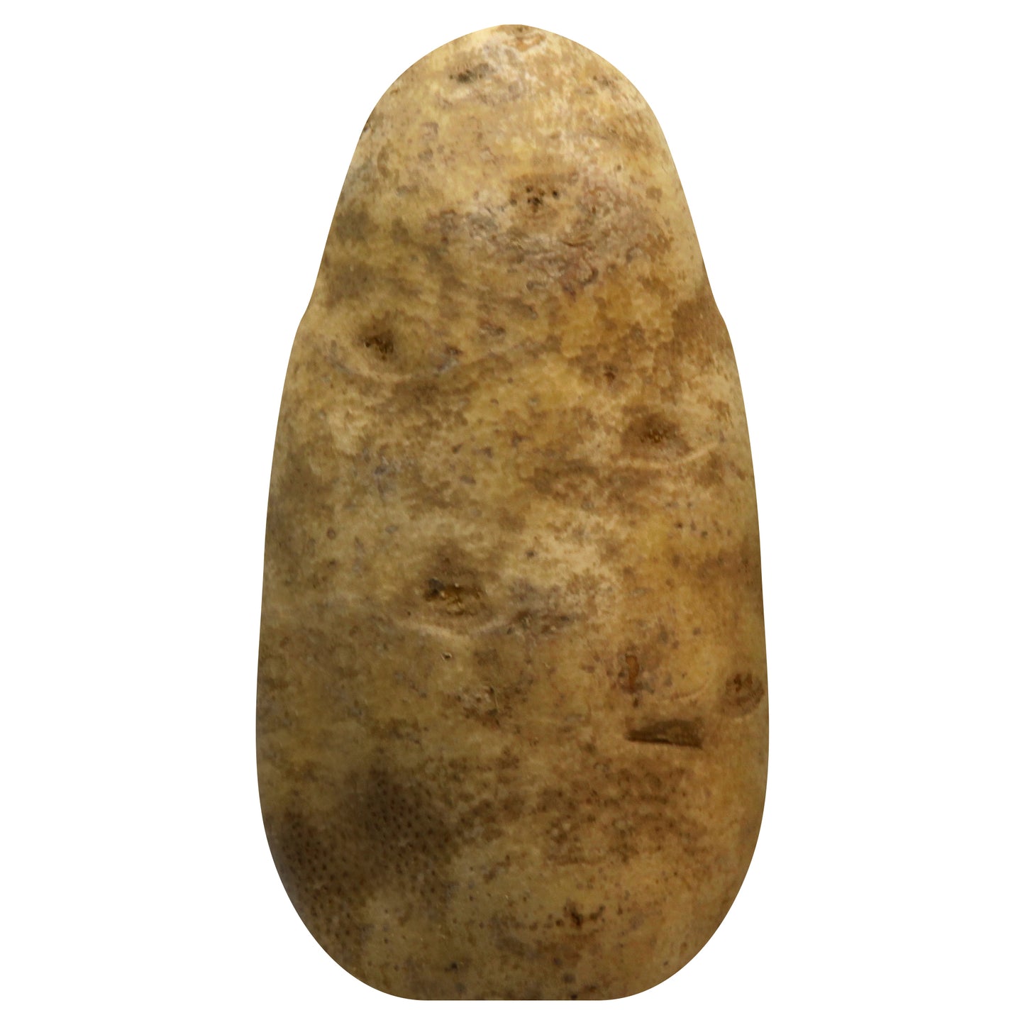 B & B POTATOES RUSSET 5LB