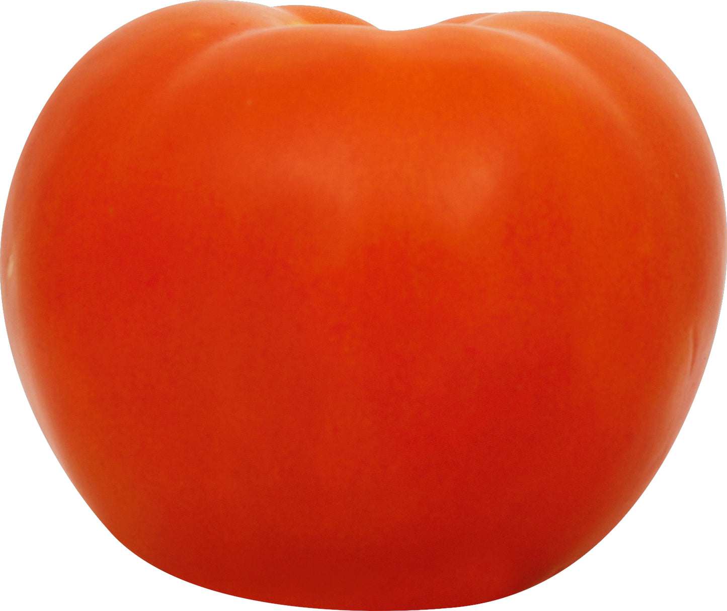 Vine Ripe Tomato - Large