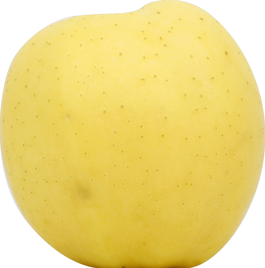 Golden Delicious Apple - Extra Large