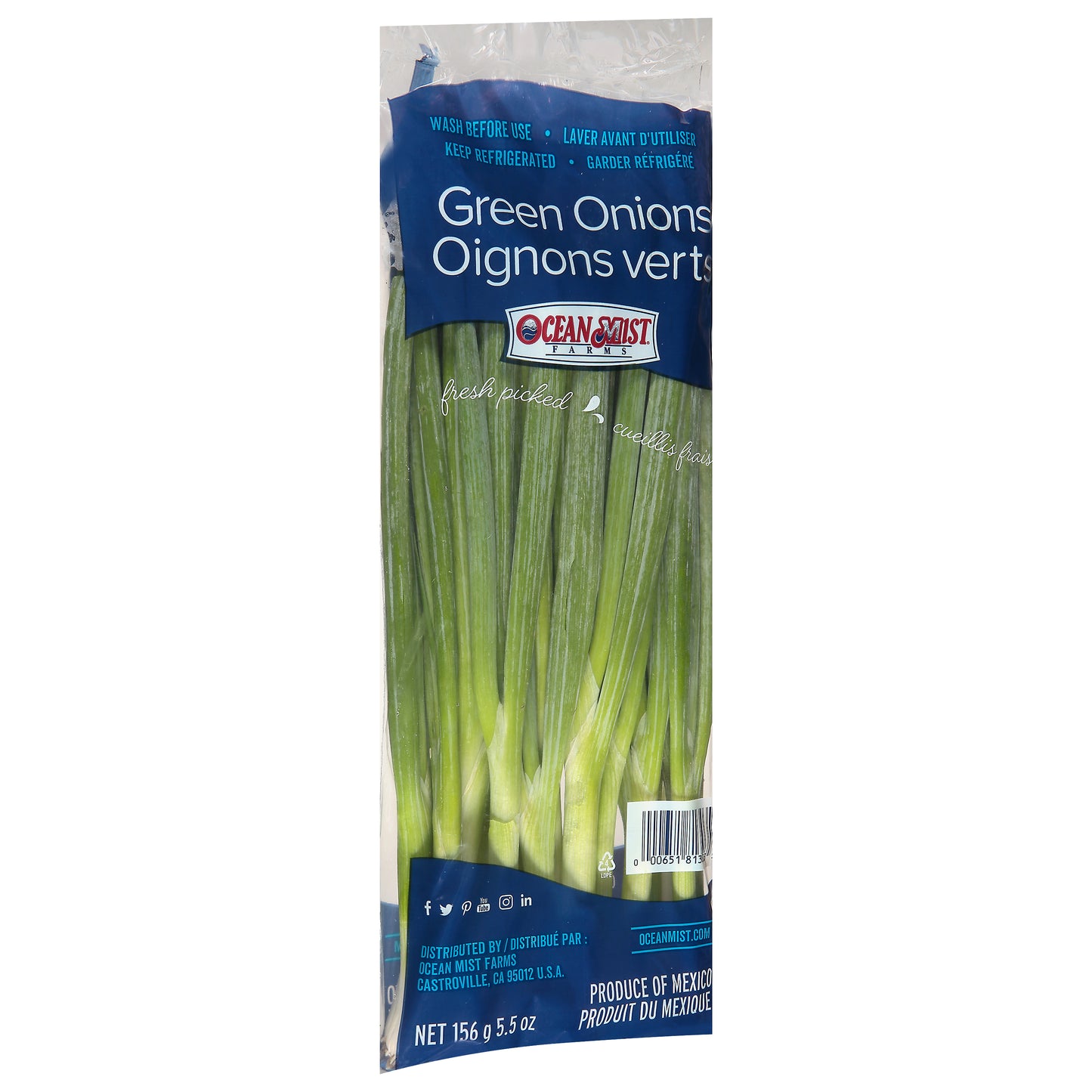 Ocean Mist Farms Green Onions 5.5 oz