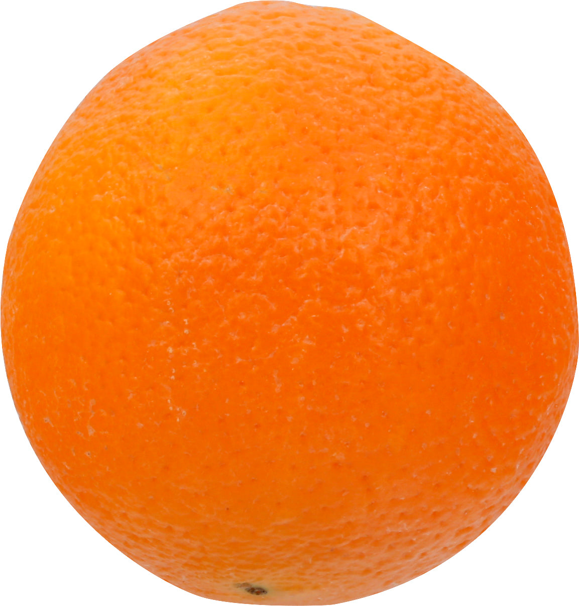 Navel Orange - Medium