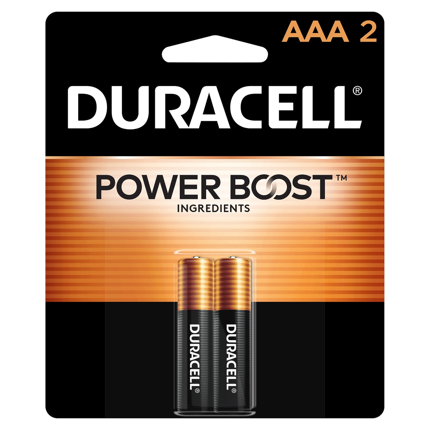 Duracell Coppertop AAA Alkaline Batteries, 2/Pack