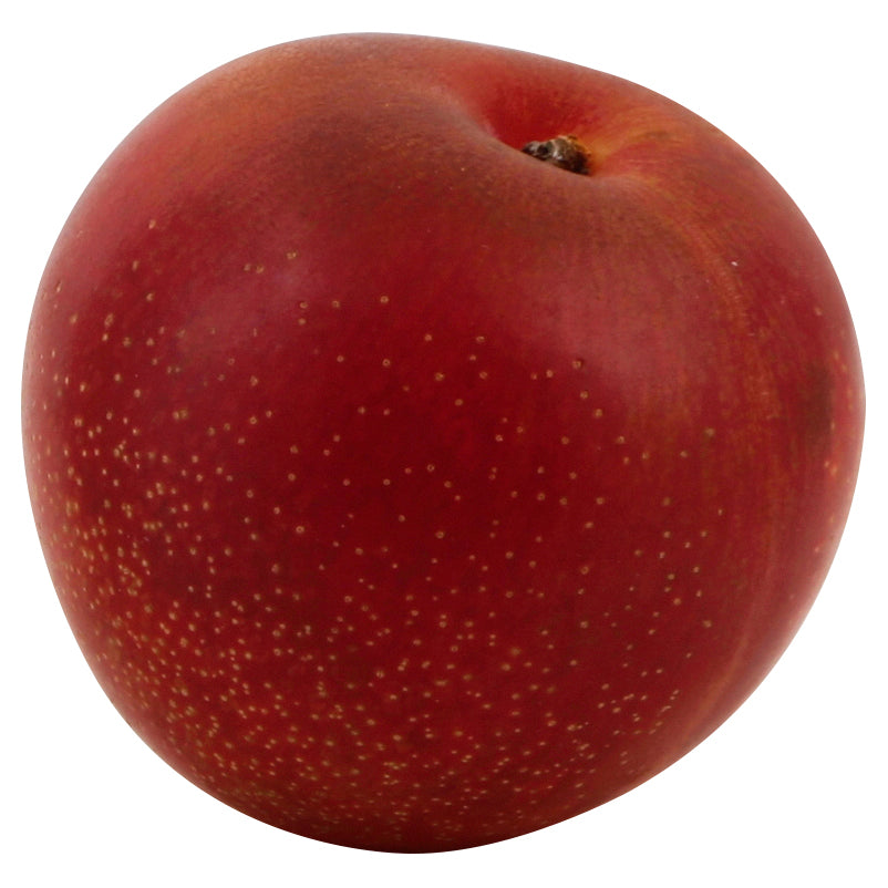Tree Ripened Plum - Large