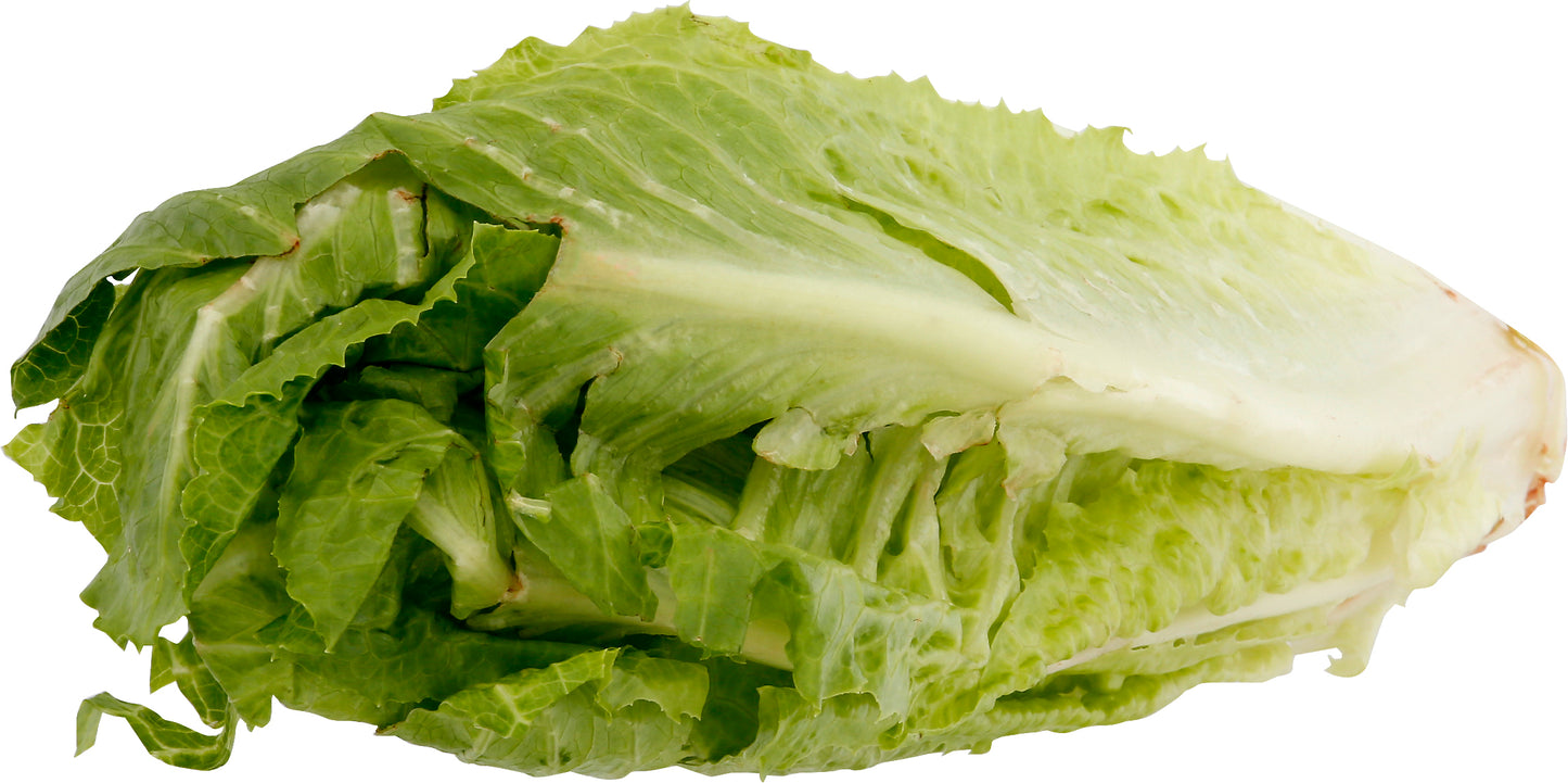 Romaine Hearts