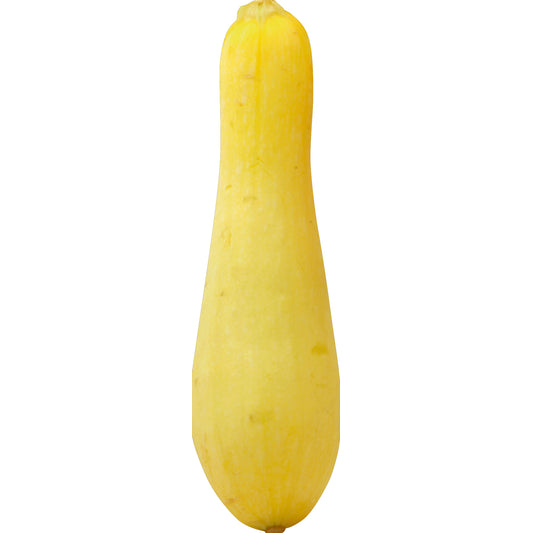Yellow Crookneck Squash