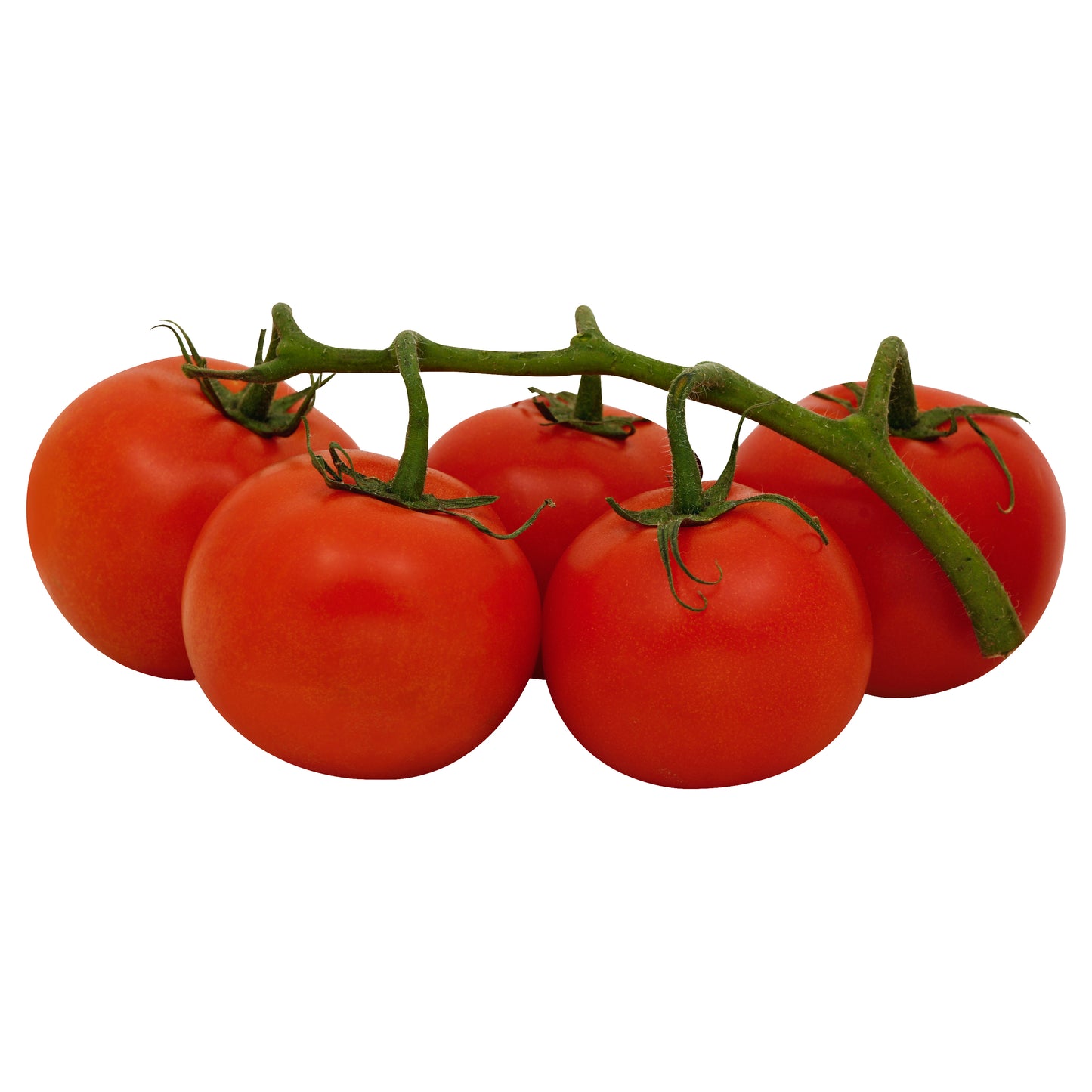 Hot House Red Tomato - Large