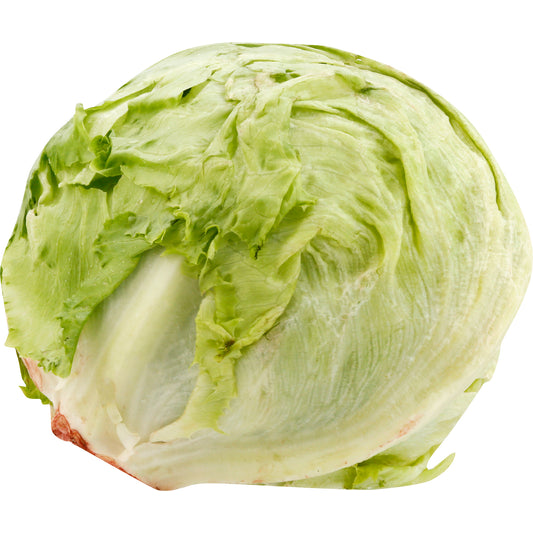 CELLO WRAP 24 CT LETTUCE
