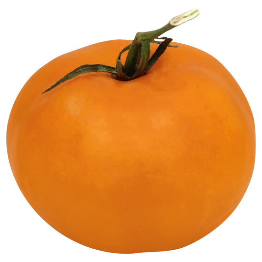 Italian Roma Tomato
