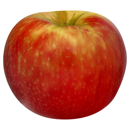 HoneyCrisp Apple - Bag