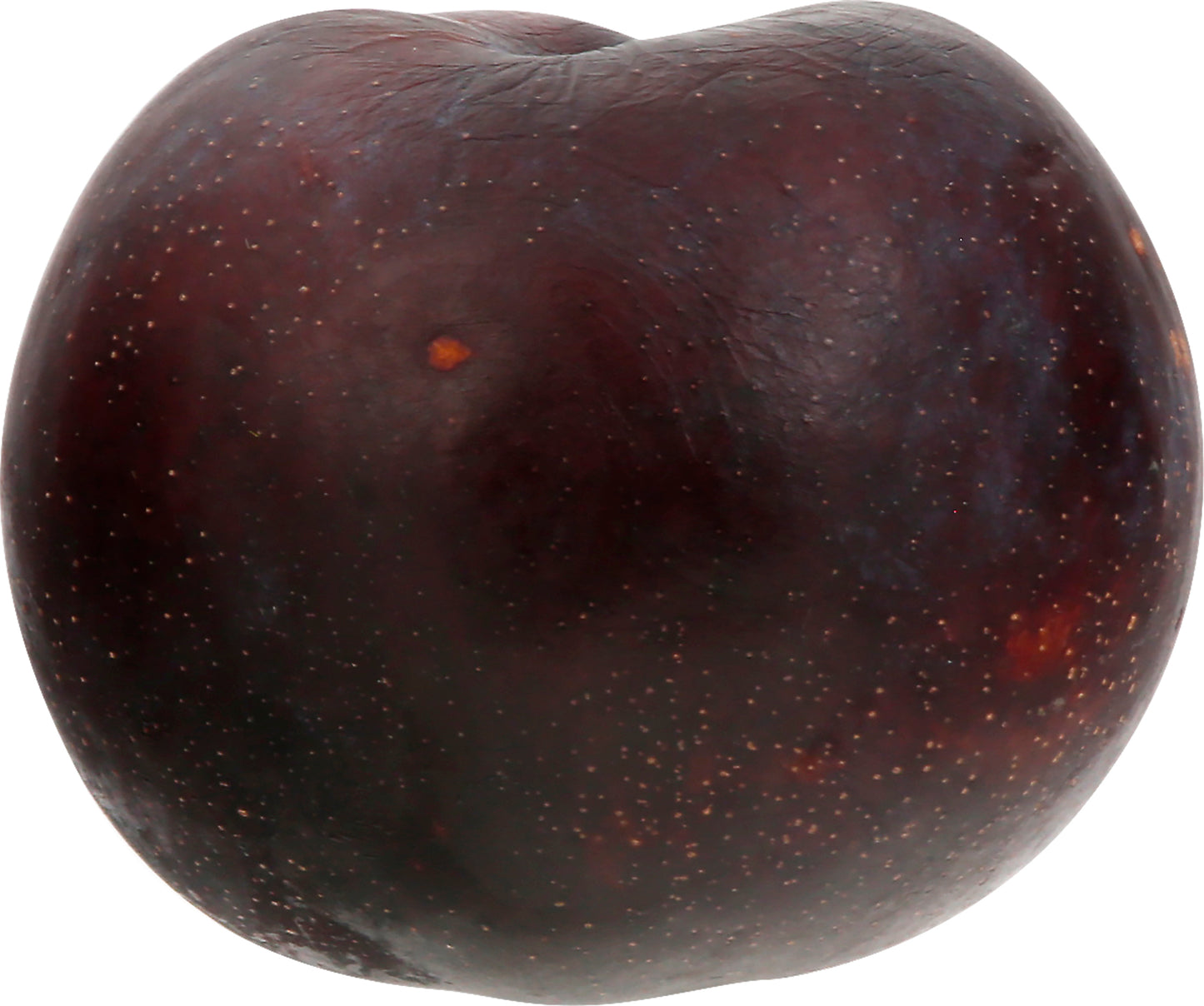 California Tree Ripe Black Plum