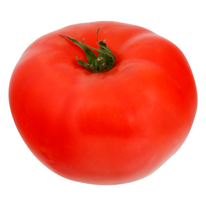 Hot House Red Tomato - Large