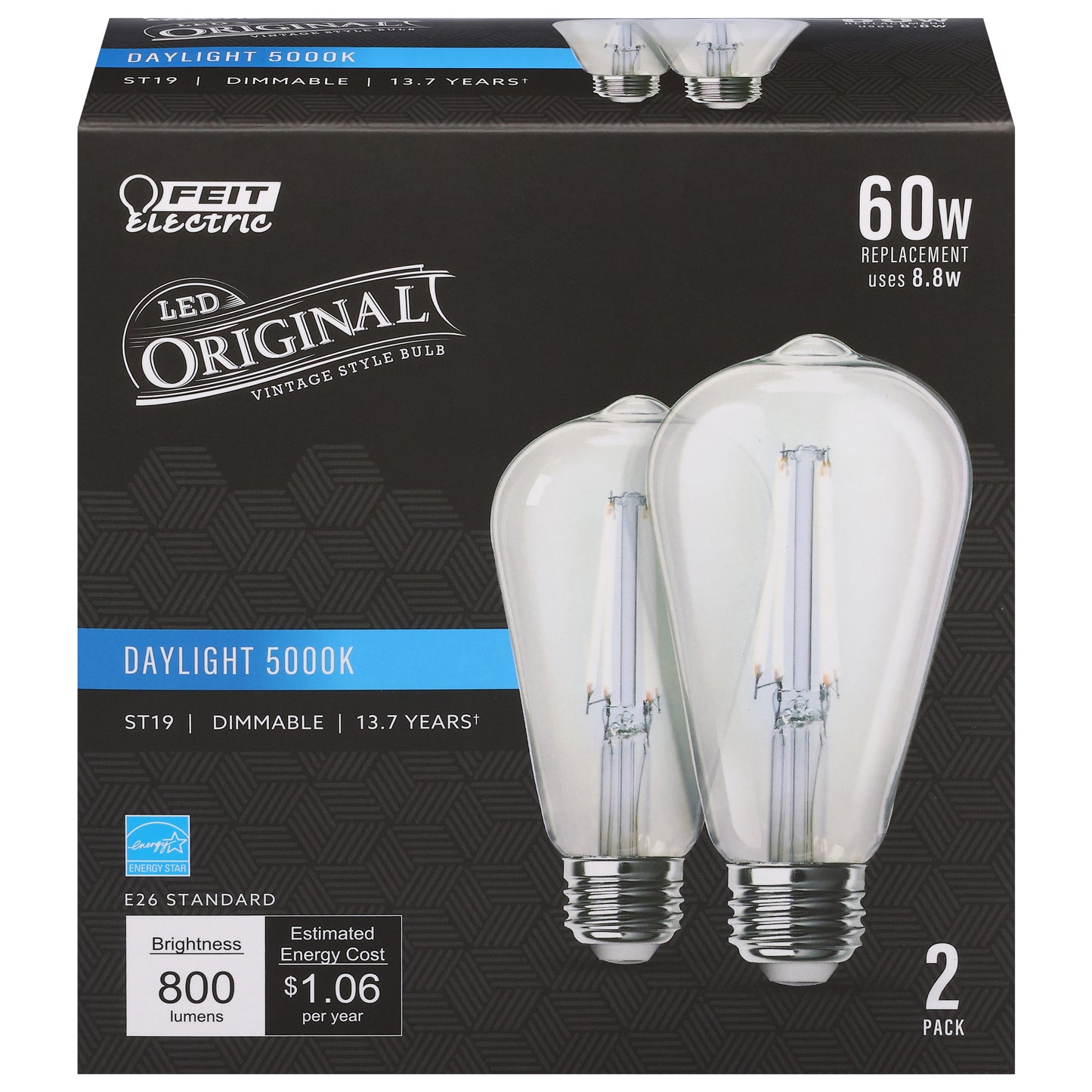 Feit Electric 60 Watts LED Daylight 5000K Vintage Style Bulbs 2 ea